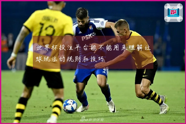 世界杯投注平台能不能用来理解让球玩法的规则和技巧