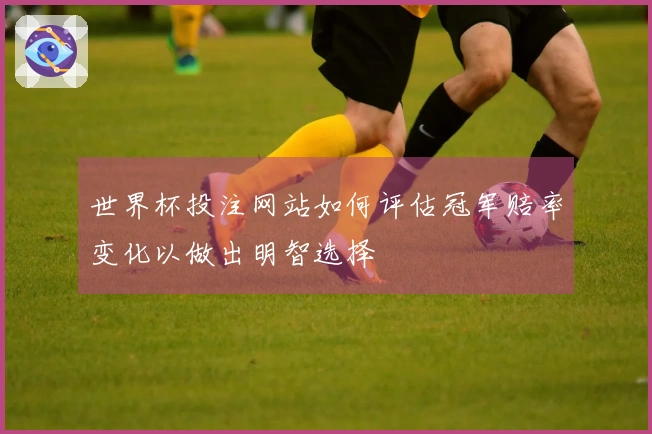 世界杯投注网站如何评估冠军赔率变化以做出明智选择
