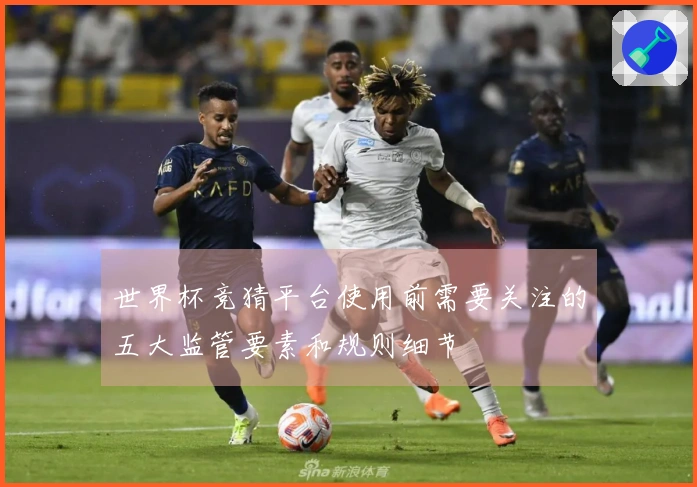 世界杯竞猜平台使用前需要关注的五大监管要素和规则细节