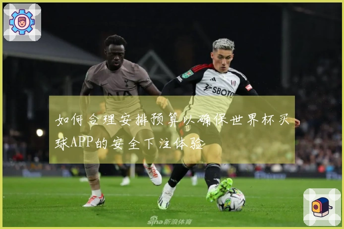 如何合理安排预算以确保世界杯买球APP的安全下注体验