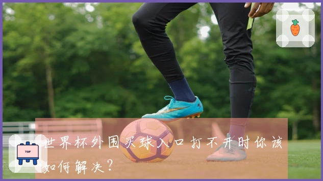 世界杯外围买球入口打不开时你该如何解决?