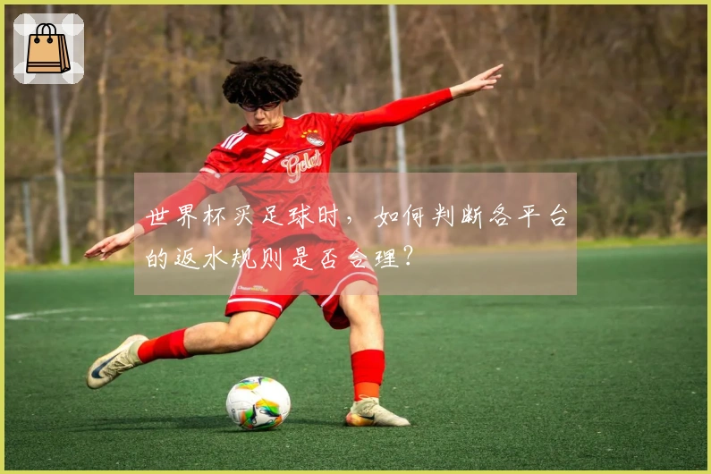 世界杯买足球时，如何判断各平台的返水规则是否合理？