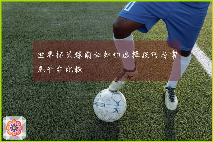 世界杯买球前必知的选择技巧与常见平台比较