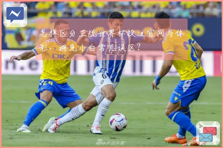 怎样区分正规世界杯投注官网与体彩,避免小白常见误区?