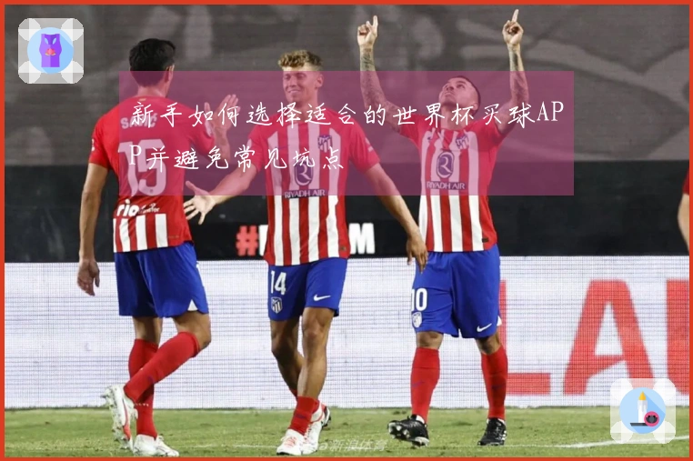 新手如何选择适合的世界杯买球APP并避免常见坑点