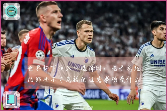 世界杯下注入口选择时，老手总结的那些不可忽视的注意事项是什么？
