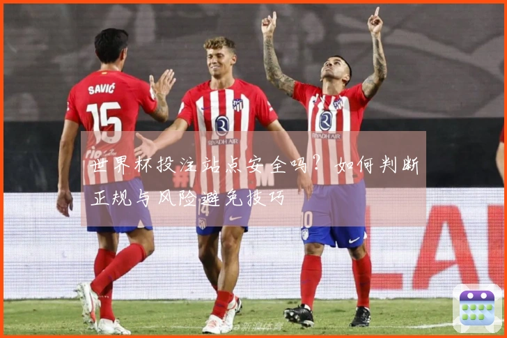 世界杯投注站点安全吗？如何判断正规与风险避免技巧
