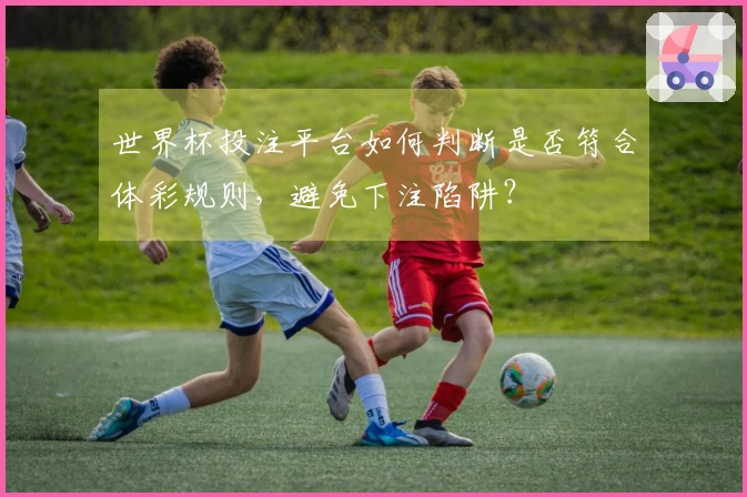 世界杯投注平台如何判断是否符合体彩规则，避免下注陷阱？