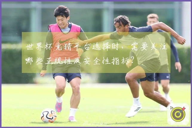世界杯竞猜平台选择时，需要关注哪些正规性及安全性指标？