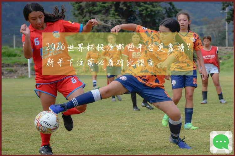 2026世界杯投注哪些平台更靠谱？新手下注前必看对比指南
