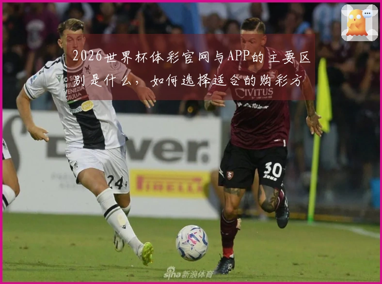 2026世界杯体彩官网与APP的主要区别是什么，如何选择适合的购彩方式？
