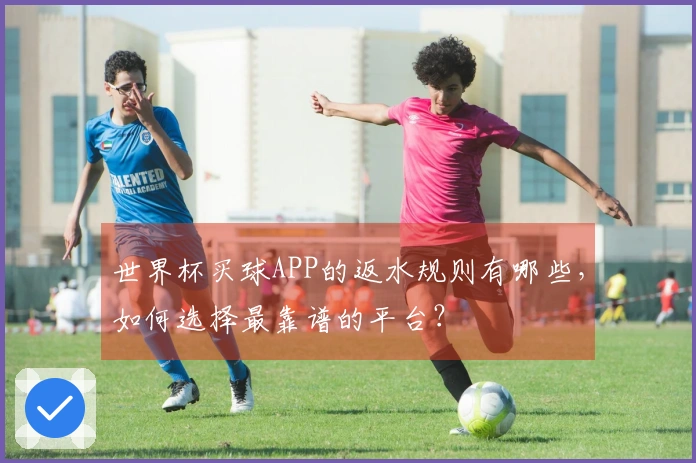 世界杯买球APP的返水规则有哪些，如何选择最靠谱的平台？