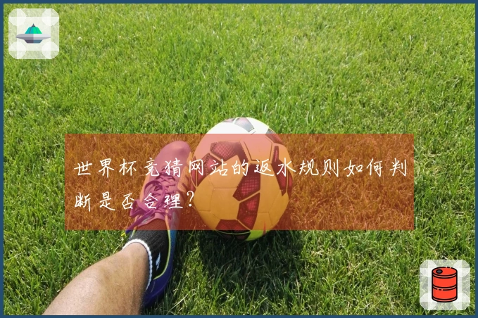 世界杯竞猜网站的返水规则如何判断是否合理？
