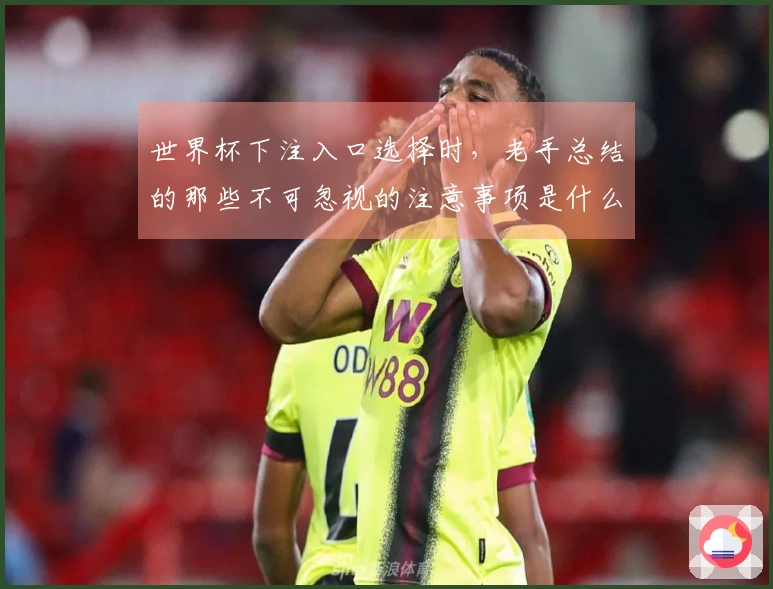 世界杯下注入口选择时,老手总结的那些不可忽视的注意事项是什么?