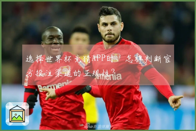 选择世界杯竞猜APP时，怎样判断官方投注渠道的正规性？