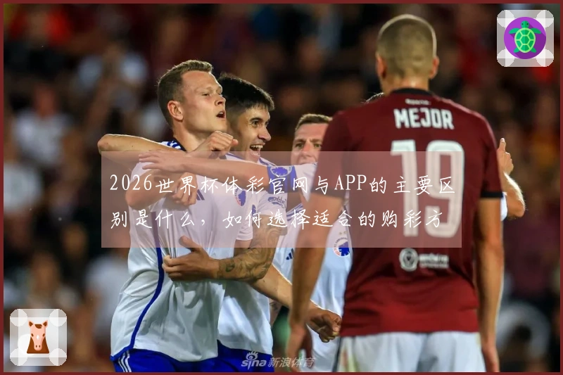 2026世界杯体彩官网与APP的主要区别是什么，如何选择适合的购彩方式？