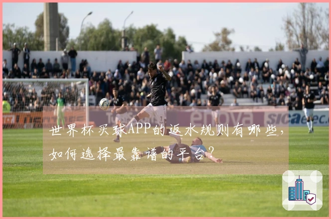 世界杯买球APP的返水规则有哪些，如何选择最靠谱的平台？