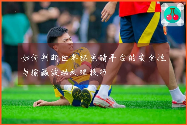 如何判断世界杯竞猜平台的安全性与输赢波动处理技巧