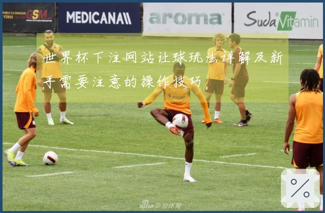 世界杯下注网站让球玩法详解及新手需要注意的操作技巧