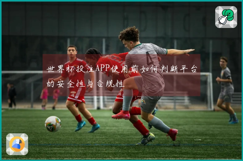 世界杯投注APP使用前如何判断平台的安全性与合规性