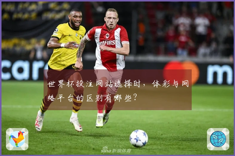 世界杯投注网站选择时，体彩与网络平台的区别有哪些？