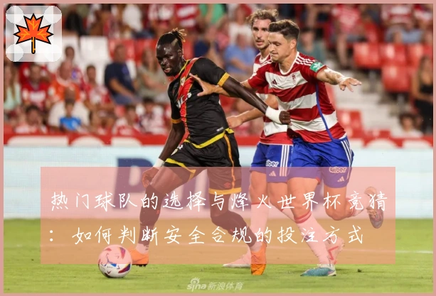 热门球队的选择与烽火世界杯竞猜：如何判断安全合规的投注方式