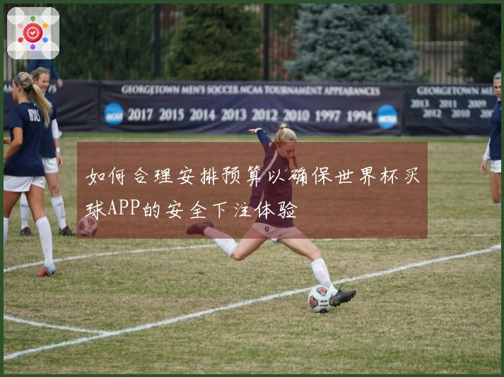 如何合理安排预算以确保世界杯买球APP的安全下注体验