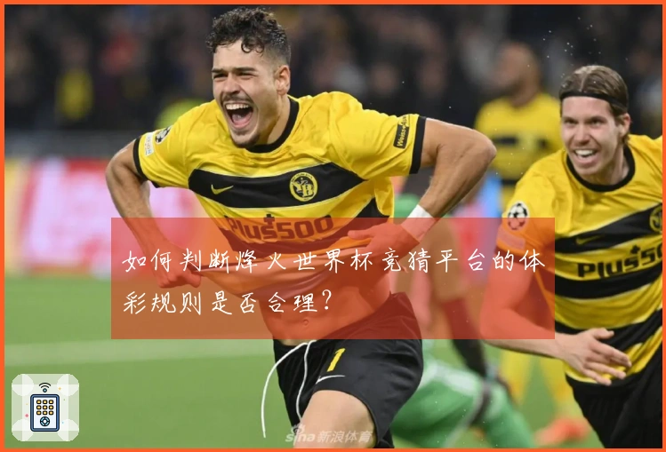 如何判断烽火世界杯竞猜平台的体彩规则是否合理？