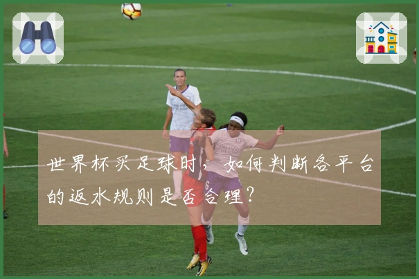 世界杯买足球时，如何判断各平台的返水规则是否合理？