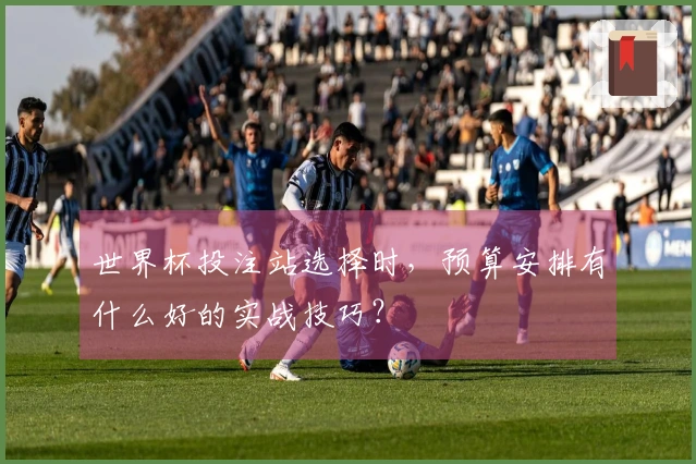 世界杯投注站选择时，预算安排有什么好的实战技巧？