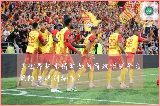 买世界杯竞猜时如何有效识别平台风险与规则细节?